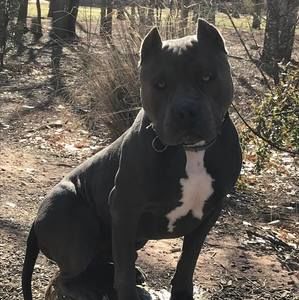 Meet your Posher, Carolyn